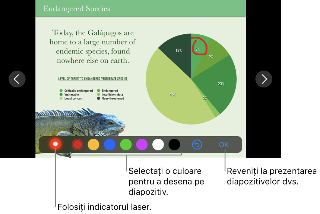 Mod de ilustrare diapozitiv în diapozitiv afișând indicatorul laser și comenzile de selectare a culorii.