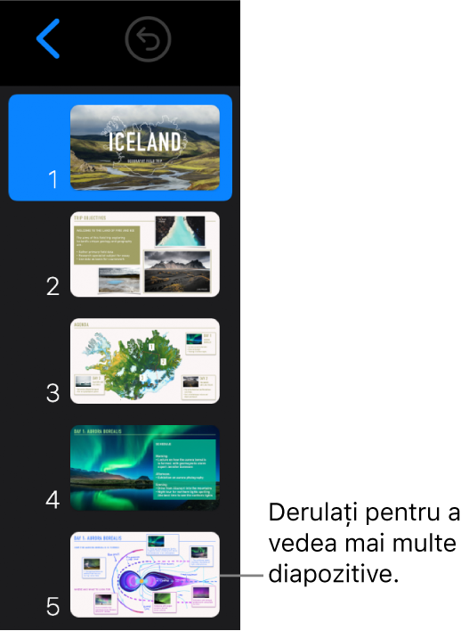 Navigatorul de diapozitive.