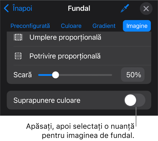 Comenzile Fundal cu o imagine configurată drept fundal al diapozitivului și comanda Suprapunere culoare în partea de jos.