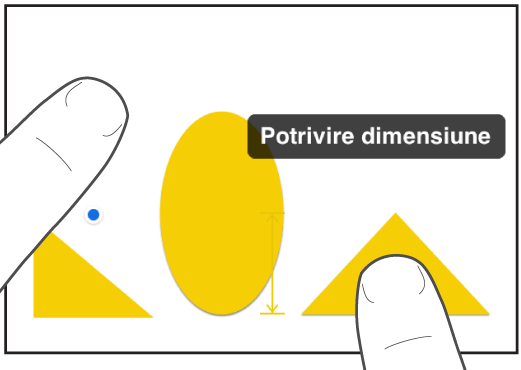 Un deget chiar deasupra unei forme și un altul ținând un obiect cu Potrivire dimensiune pe ecran.