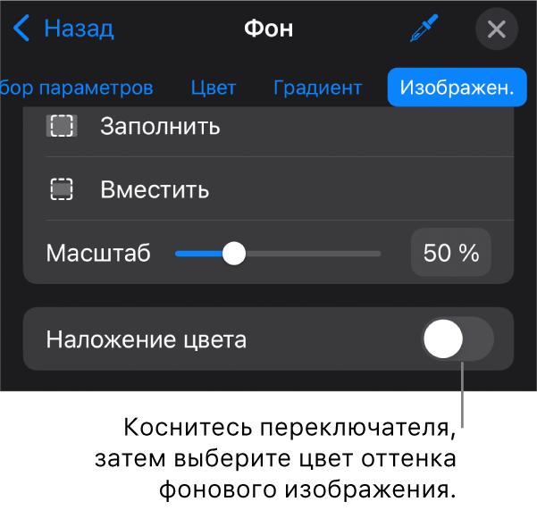 Показаны элементы управления фоном; в качестве фона слайда выбрано изображение, в нижней части расположен элемент управления «Наложение цвета».
