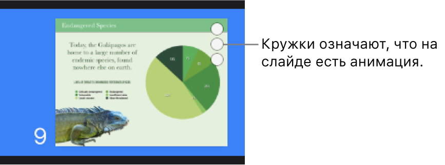 Слайд с тремя кружками в правом верхнем углу, обозначающими наличие анимации.