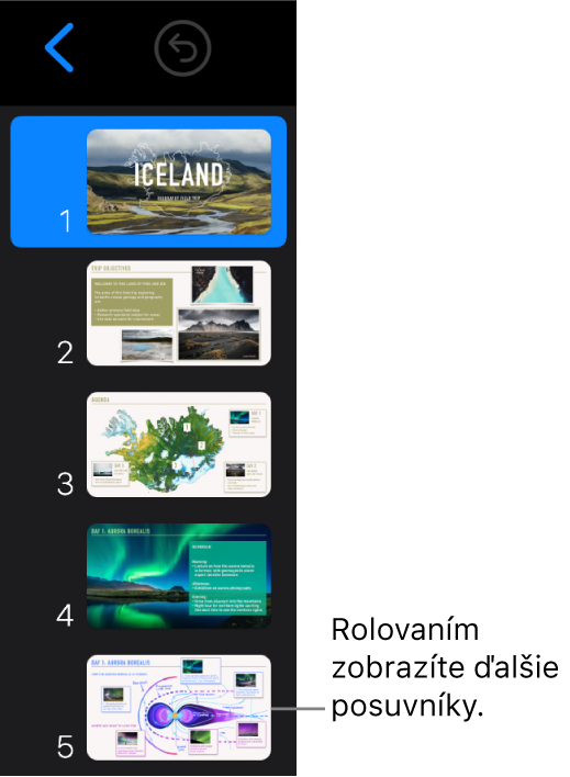 Navigátor snímok.