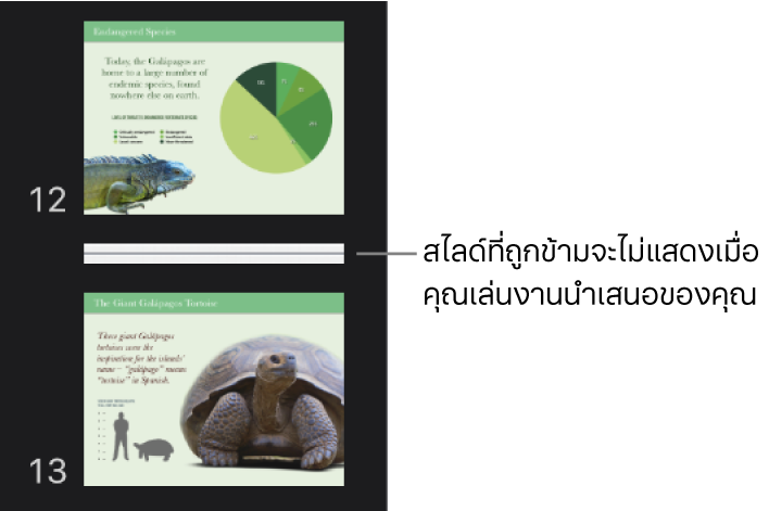 แถบนำทางสไลด์ที่มีสไลด์ที่ข้ามซึ่งแสดงเป็นเส้นแนวนอน