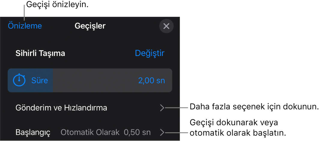 Geçişler bölümündeki Sihirli Taşıma denetimleri.