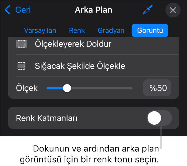 Arka Plan denetimleri, slayt arka planı olarak ayarlanmış bir görüntü ve en alttaki Renk Kaplama ile.
