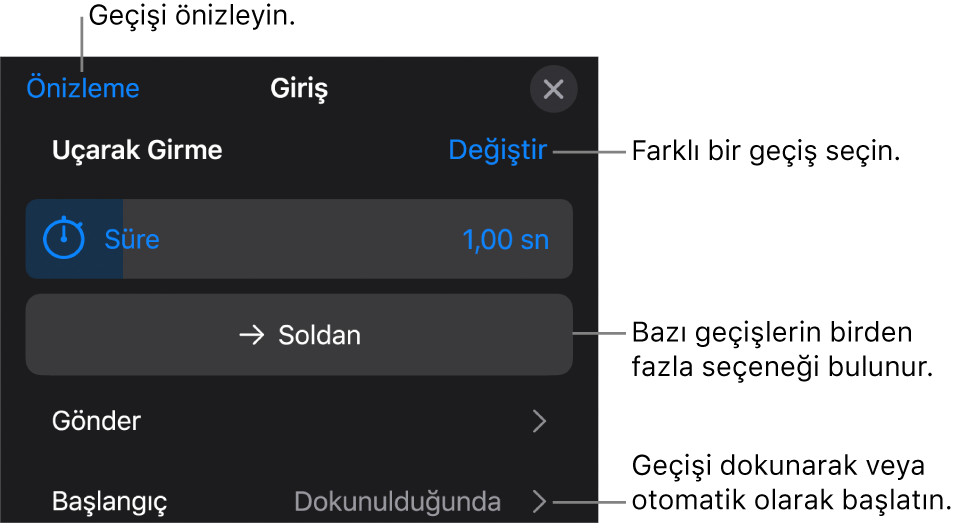 Geçişleri değiştirmek için Seçenekler bölümündeki denetimler.