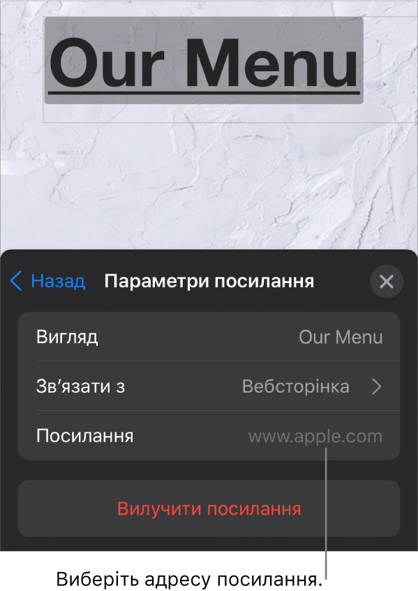 Елементи керування параметрів посилання з полями «Вигляд», «Посилання на» (вибрано значення «веб-сторінка») і «Посилання». Кнопка «Вилучити посилання» розташована внизу.
