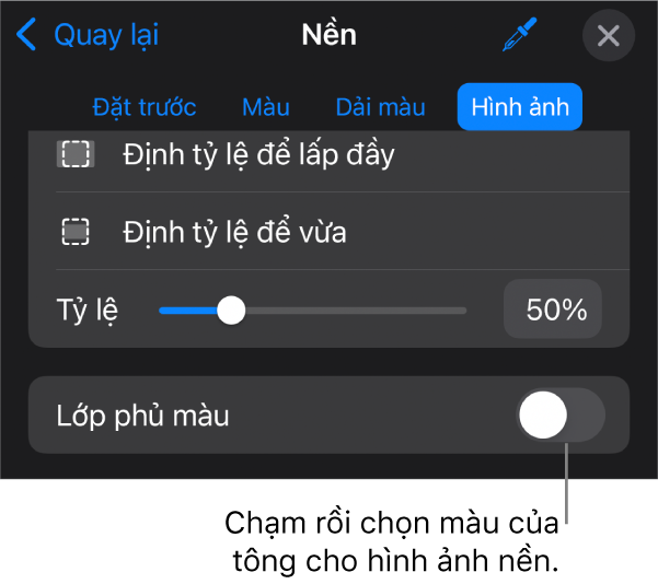 Các điều khiển Nền với hình ảnh được đặt dưới dạng nền trang chiếu và điều khiển Lớp phủ màu ở dưới cùng.