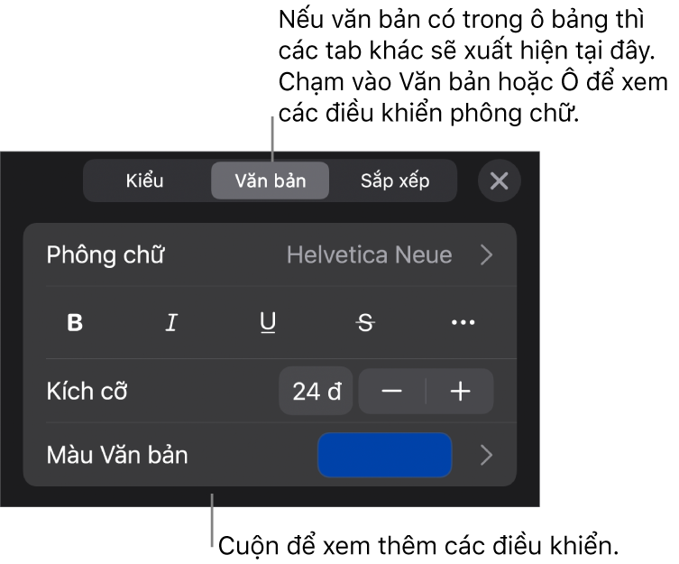 Các điều khiển văn bản trong menu Định dạng để đặt kiểu, phông chữ, kích cỡ và màu của đoạn và ký tự.
