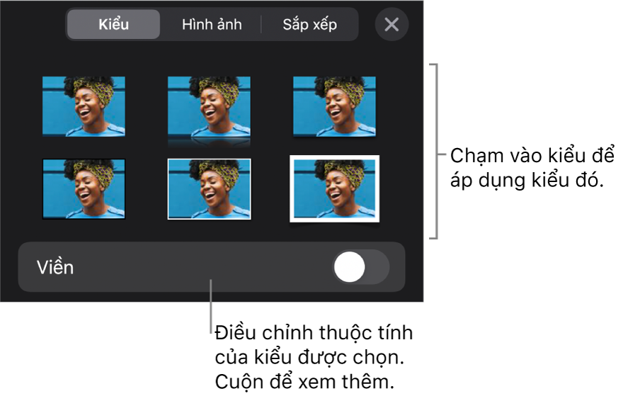 Tab Kiểu của menu Định dạng với các kiểu đối tượng ở đầu và một điều khiển ở bên dưới để thay đổi đường viền.