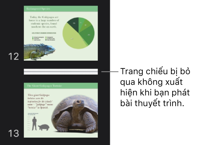 Trình điều hướng trang chiếu với trang chiếu bị bỏ qua đang hiển thị dưới dạng một đường ngang.