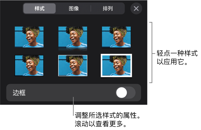 “格式”菜单中的“样式”标签，顶部为对象样式，样式下方为更改边框的控制。