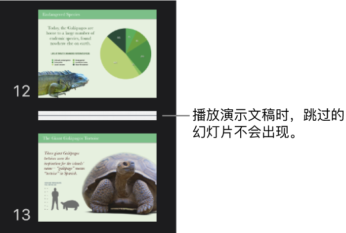 跳过的幻灯片显示为水平线的幻灯片导航器。
