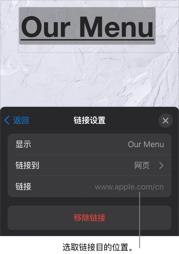 “链接设置”控制，其中包括“显示”、“链接到”（“网页”被选中）和“链接”栏。“移除链接”按钮位于底部。