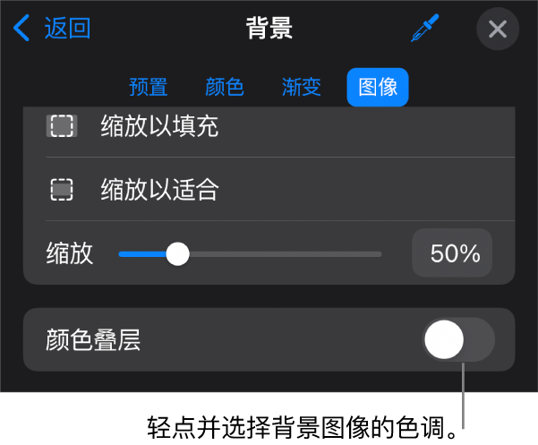 “背景”控制，其中图像设为幻灯片背景，底部为“颜色叠层”控制。
