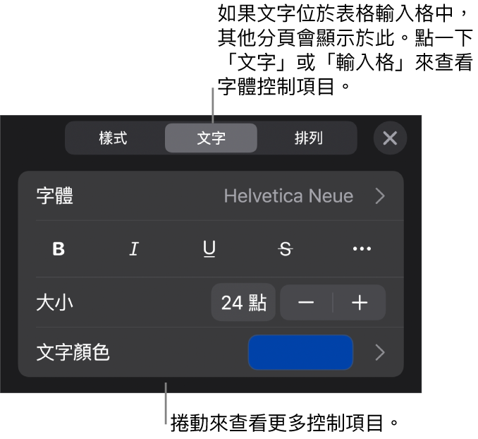 「格式」選單中設定段落及字元樣式、字體、大小和顏色的文字控制項目。
