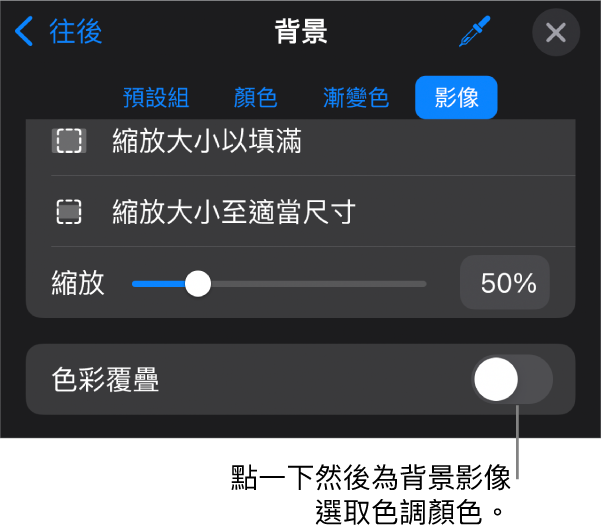「背景」控制項目，其中一個影像已設定為幻燈片背景，且「色彩覆疊」控制項目位於底部。