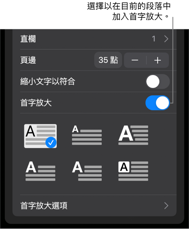 「首字放大」控制項目位於「文字」選單底部。