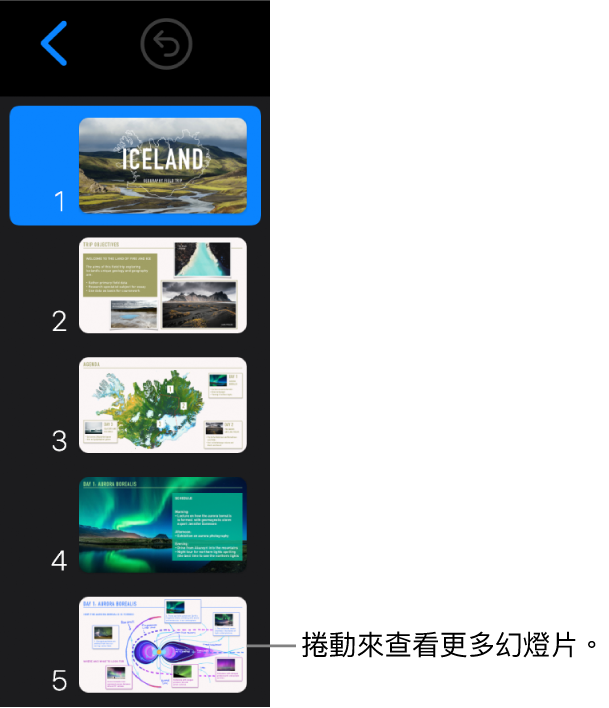 幻燈片導覽器。