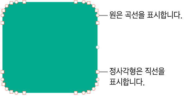 편집 가능한 점이 있는 도형.