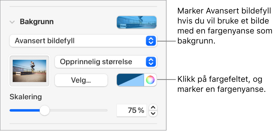 Bakgrunn-kontrollene med Avansert bildefyll med farge angitt som lysbildebakgrunn.