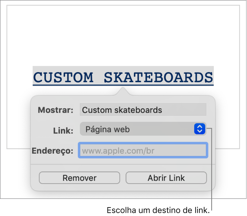 Controles do editor de links com o campo Exibir, o menu local Link (definido como Página web) e o campo Link. Os botões Remover e Abrir Link estão na parte inferior dos controles.