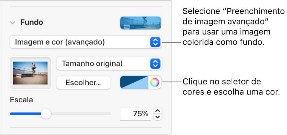 Os controlos de fundo, com uma Imagem e cor (avançado) com filtro de cor definida como o fundo do diapositivo.