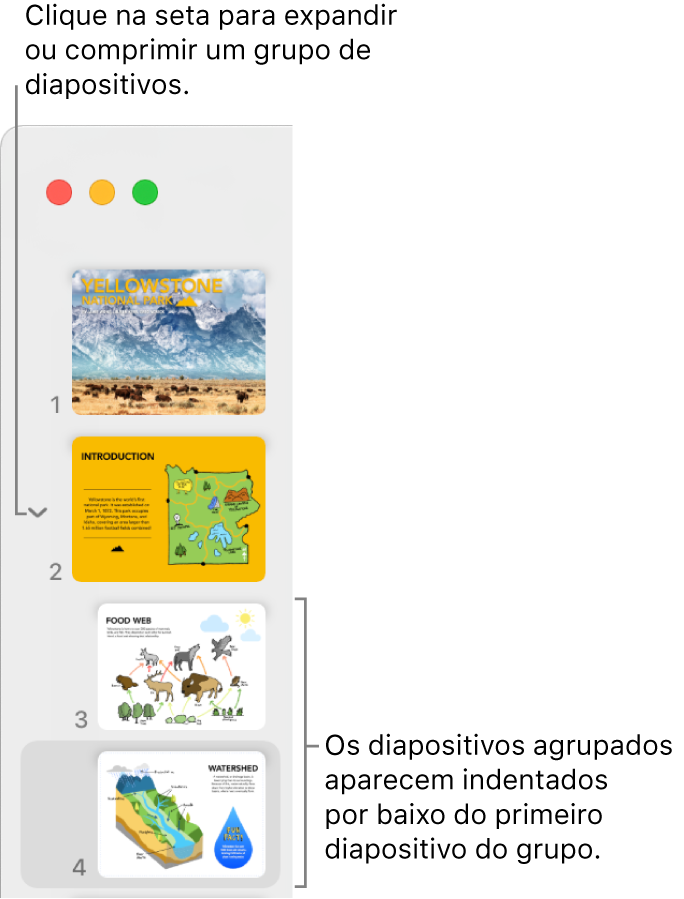 O navegador de diapositivos com diapositivos indentados.