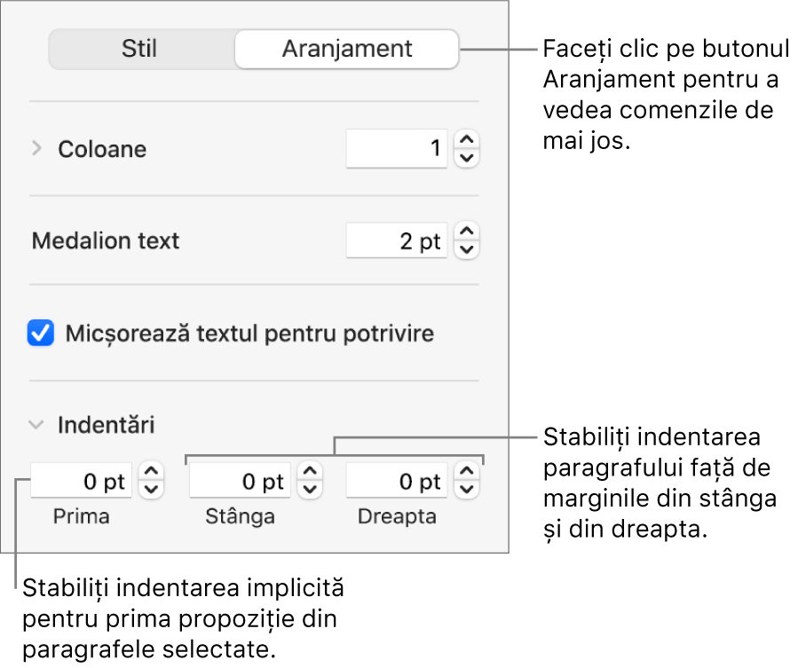 Secțiunea Aranjament a barei laterale Format afișând comenzi pentru configurarea indentării primei linii și a marginilor paragrafului.