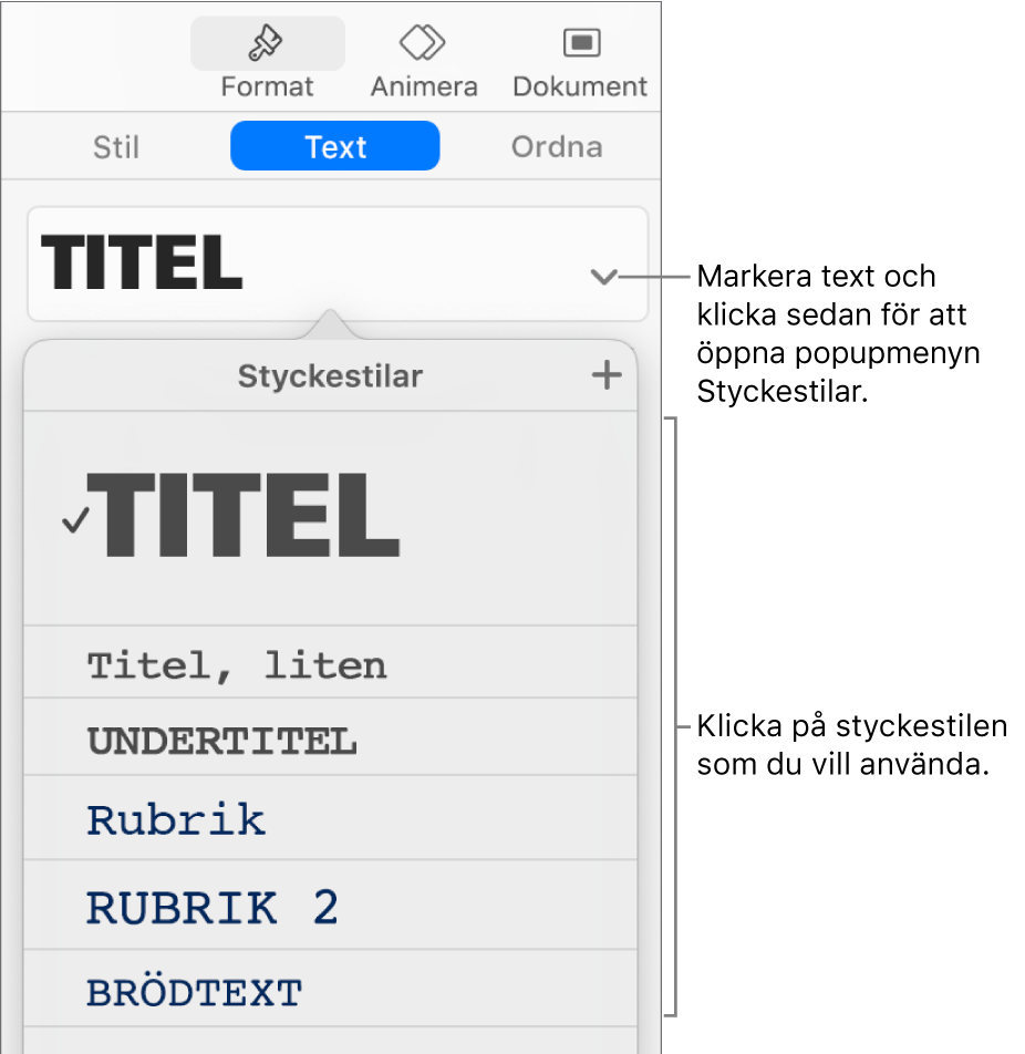 Menyn Styckestilar med en bockmarkering bredvid den valda stilen.