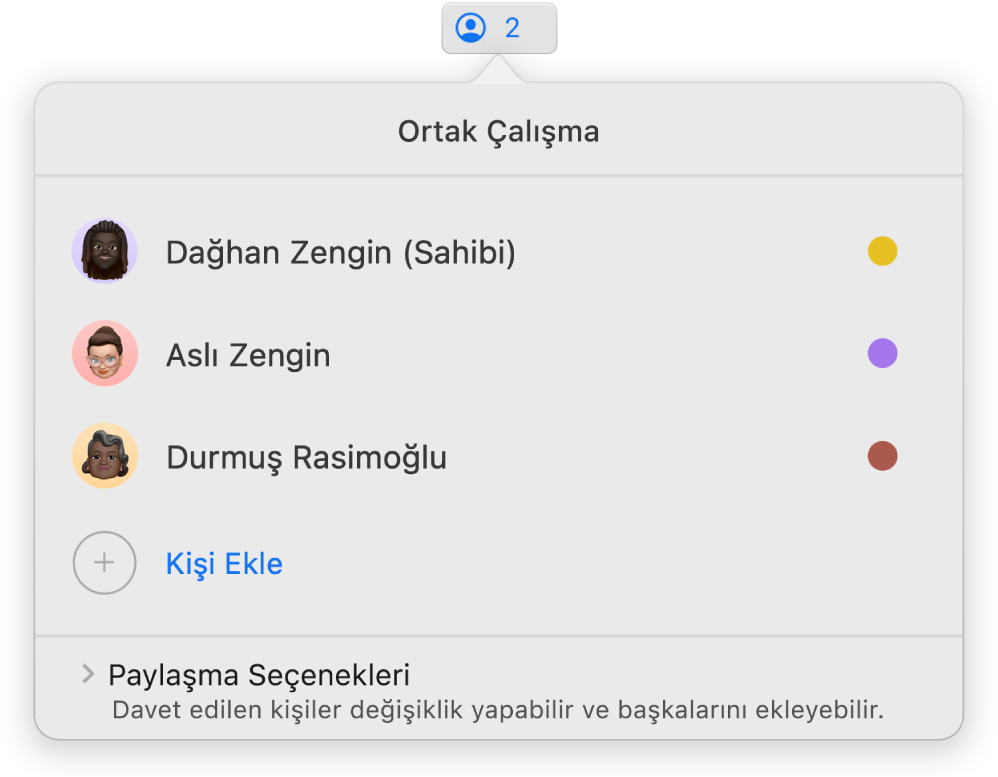 Sunuda ortak çalışan kişilerin adlarını gösteren Ortak Çalışma menüsü. Paylaşma seçenekleri adların altındadır.