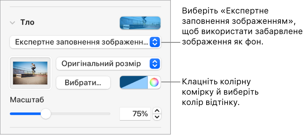 Елементи керування тлом: фоном слайда вибрано затемнений параметр «Експертне заповнення зображенням».