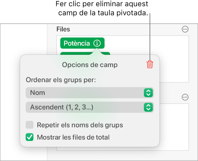 El menú “Opcions de camp”, que mostra els controls per agrupar i ordenar dades, a més de l’opció per eliminar un camp.