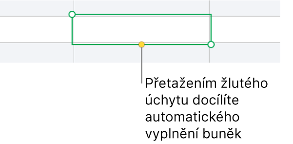 Vybraná buňka se žlutým úchytem, jehož tažením můžete automaticky vyplnit další buňky