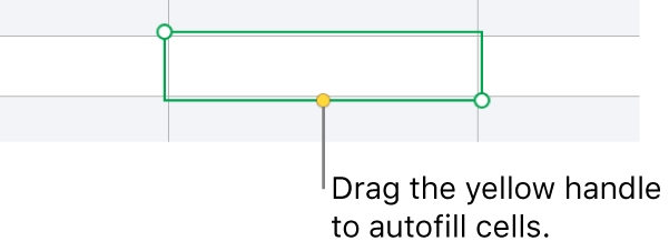 A selected cell with a yellow handle you can drag to autofill cells.