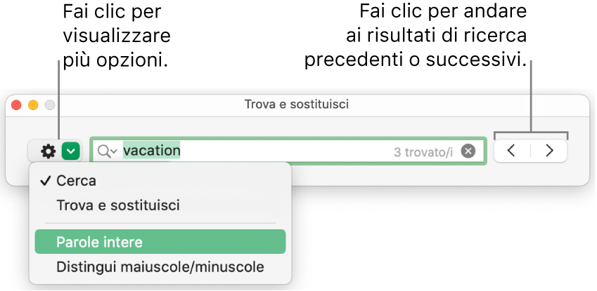 La finestra “Trova e sostituisci” con didascalia sul pulsante per visualizzare più opzioni per Trova, Trova e sostituisci, Parole intere e Distingui maiuscole/minuscole. Le frecce sulla destra consentono di passare ai risultati della ricerca precedenti o successivi.