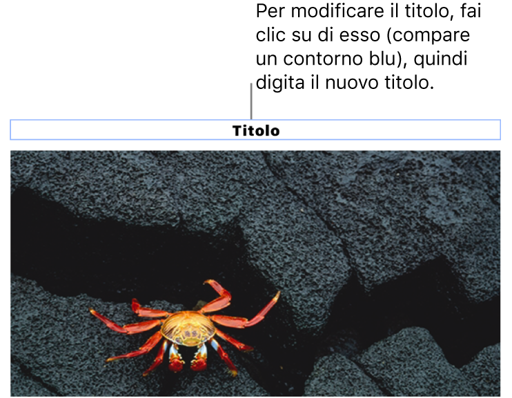 Il titolo segnaposto “Titolo” viene visualizzata sotto una foto e un contorno blu attorno al campo del titolo indica che è stato selezionato.