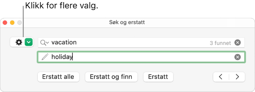 Søk og erstatt-vinduet, med en forklaring for knappen for å vise flere valg.