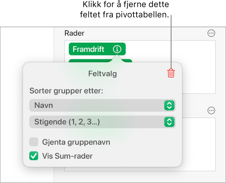 Feltvalg-menyen med kontroller for å gruppere og sortere data samt valget for å fjerne et felt.