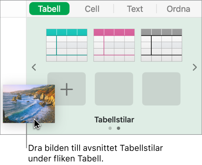 En ny stil skapas genom att en bild dras till tabellstilarna.