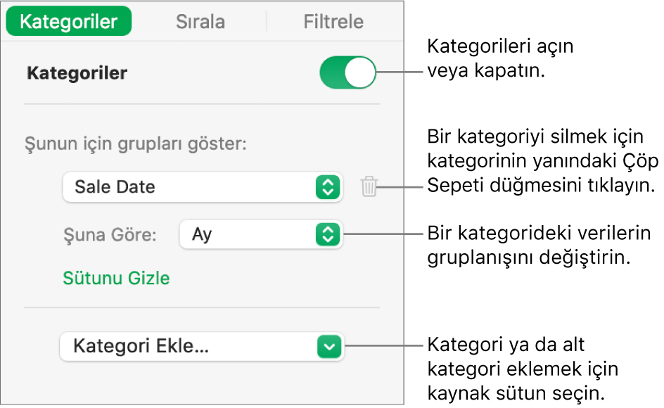 Kategorileri kapatma, kategorileri silme, verileri yeniden gruplama, kaynak sütunu gizleme ve kategori ekleme seçeneklerini içeren kategoriler kenar çubuğu.