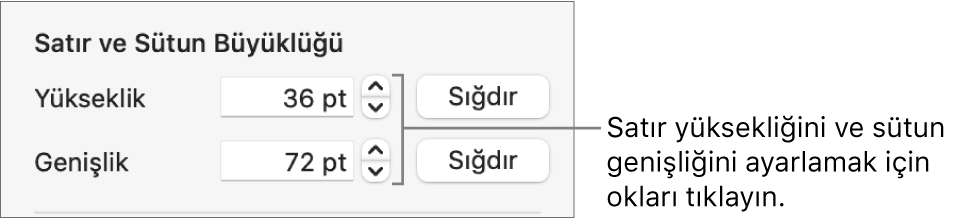 Net satır veya sütun boyutu ayarlama denetimleri.