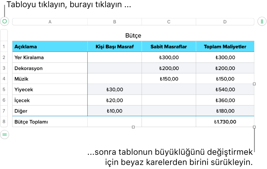 Yeniden boyutlandırma için beyaz kareleri bulunan seçili bir tablo.