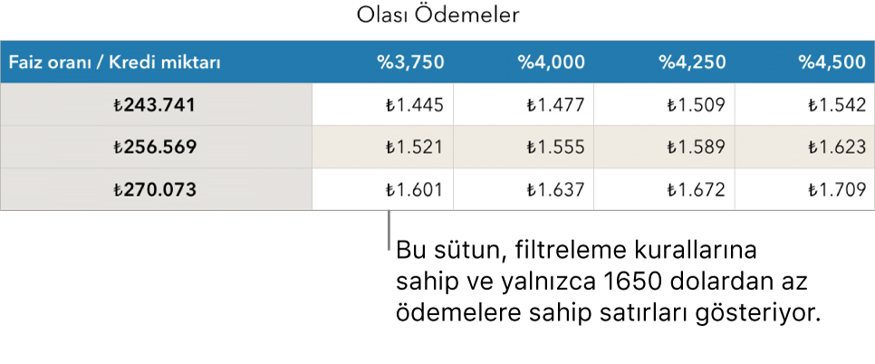 Karşılanabilir faiz oranları için filtre uygulandıktan sonra görünen ev kredisi tablosu.