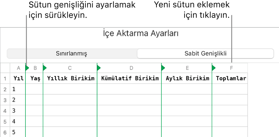 Sabit genişlikli metin dosyası için içe aktarma ayarları.