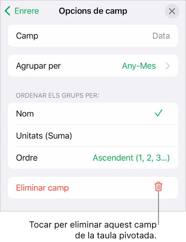 El menú “Opcions de camp”, que mostra els controls per agrupar i ordenar dades, a més de l’opció per eliminar un camp.