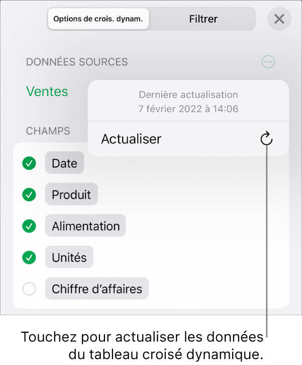 Onglet Options de croisement dynamique avec option d’actualisation du tableau croisé dynamique.