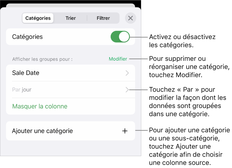 Le menu catégories pour iPhone, avec des options permettant de désactiver les catégories, supprimer des catégories, regrouper des données, masquer une colonne source et ajouter des catégories.