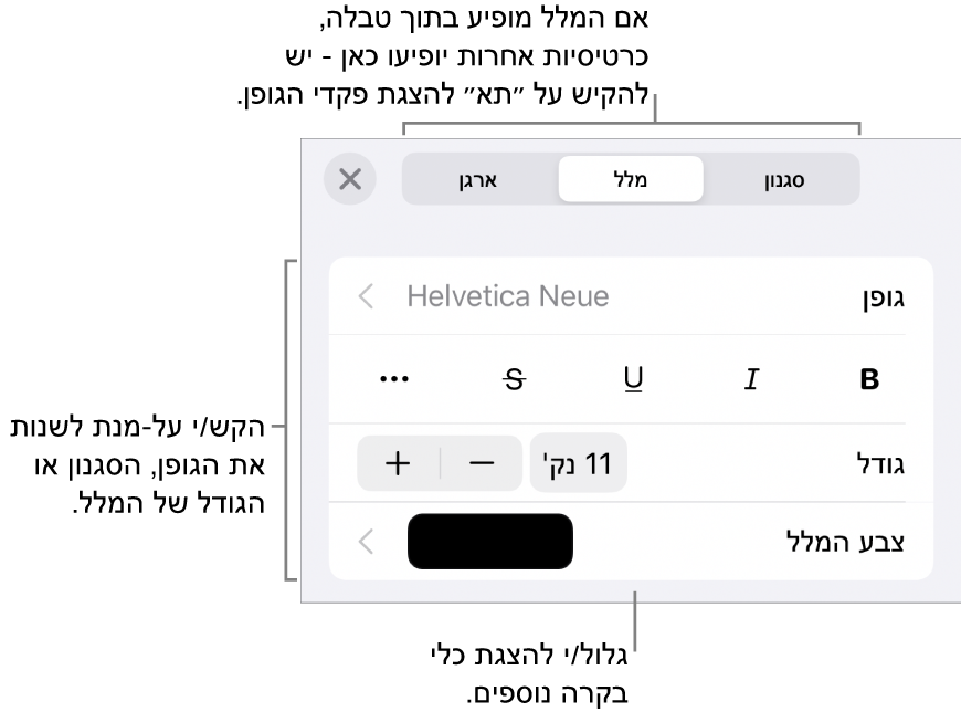 כלי בקרה של מלל בתפריט ״עיצוב״ להגדרת סגנונות, גופן, גודל וצבע עבור פיסקאות ותווים.